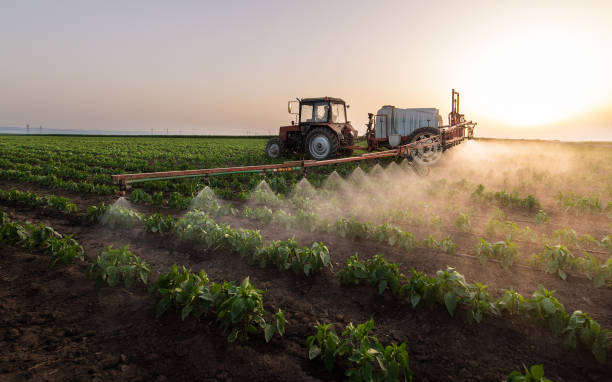 Best Pest Prevention Services  in Cadiz, OH