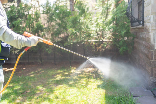 Best Residential Pest Control  in Cadiz, OH