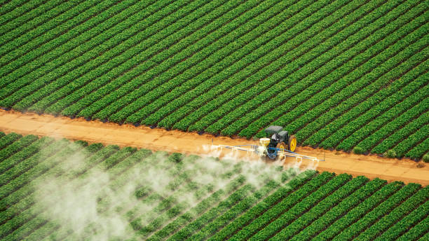 Best Termite Control Services  in Cadiz, OH