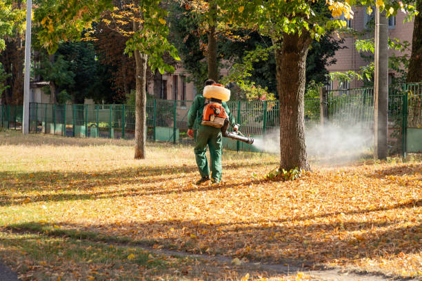 Best Insect Control  in Cadiz, OH