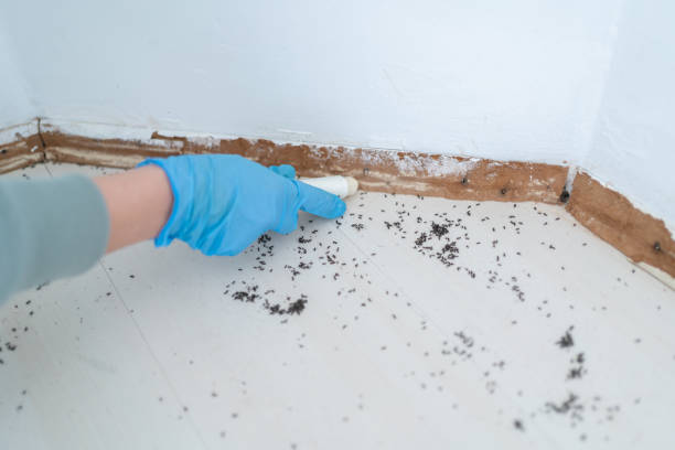 Pest Control Cost in Cadiz, OH