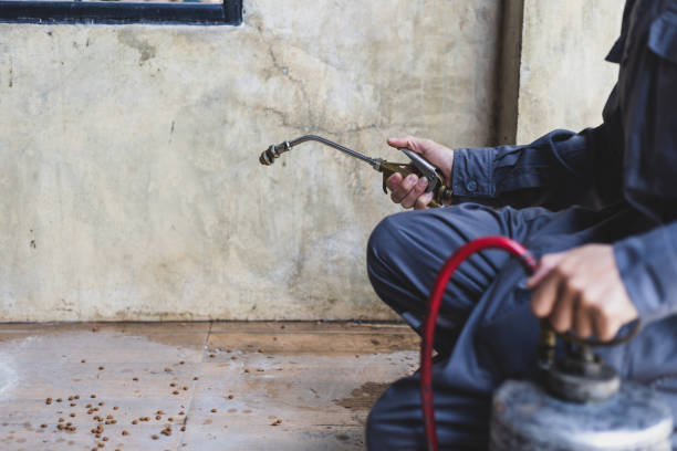 Best Emergency Pest Control  in Cadiz, OH